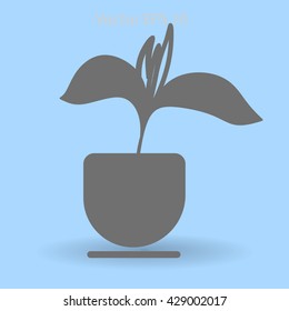 potted plant vector illustration