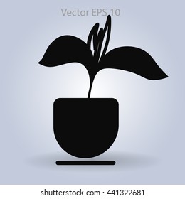 potted plant vector illustration