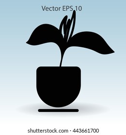 potted plant vector illustration
