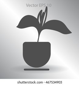 potted plant vector illustration