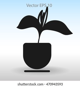 potted plant vector illustration