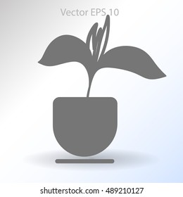 potted plant vector illustration