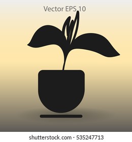 potted plant vector illustration