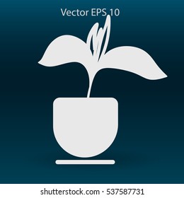 potted plant vector illustration