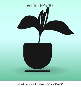 potted plant vector illustration