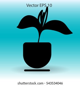 potted plant vector illustration