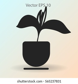 potted plant vector illustration