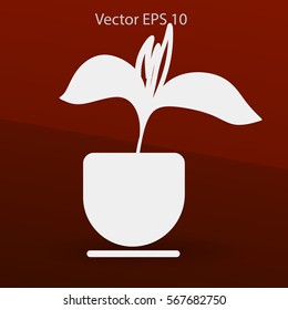 potted plant vector illustration