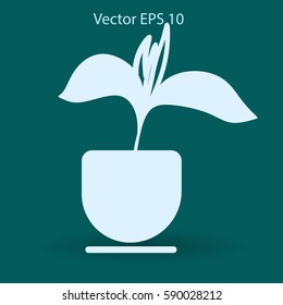 potted plant vector illustration