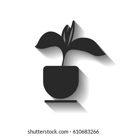 potted plant vector illustration