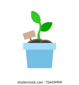 Potted plant. vector illustration