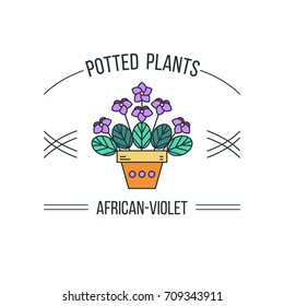 Potted plant. Vector illustration, logo. Isolated on a white background.