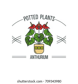 Potted plant. Vector illustration, logo. Isolated on a white background. Anthurium.