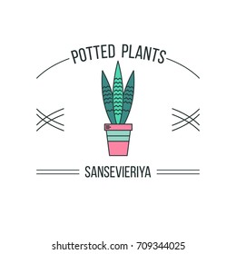 Potted plant. Vector illustration, logo. Isolated on a white background.  