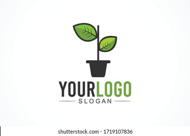 potted plant vector logo template