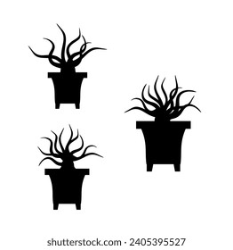 potted plant vector silhouette, isolated on white background
