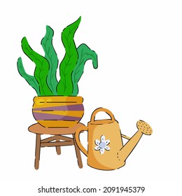 Potted plant and watering can for garden. Green leaves of houseplant. Brown pot and House decoration. Gardening and botany hobbies.