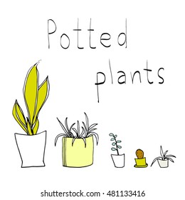 Potted plant.Hand drawn Illustration with text