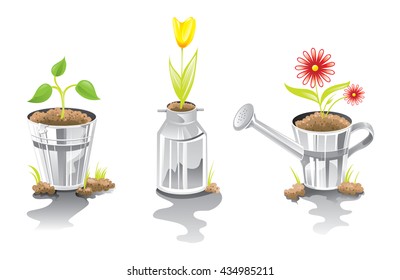 Potted plants