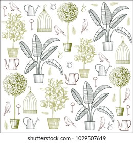 Potted plants, birds and cage. Vector background.