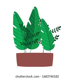 plantas macetas ramas decoración interior icono aislado ilustración vectorial