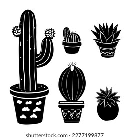potted plants, cacti and succulents