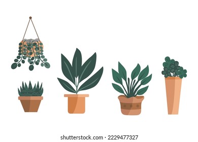 Potted plants collection. Air filtering plants in the others potted. Hand drawn vector. Set of plants illustration.