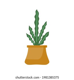 Potted plants collection, cartoon design. Succulents and home plants. Set of house indoor plant vector in flat style. 