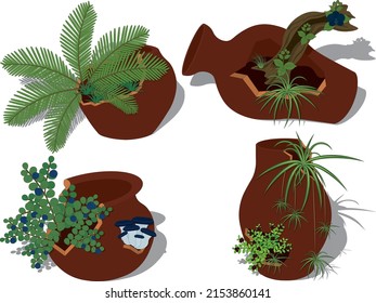 Potted plants collection, plants in cracked broken pots vector illustration