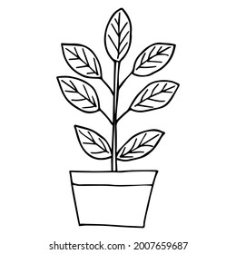 Colección de plantas de cerámica, diseño de garabatos. Suculentos y plantas para el hogar. Ilustración dibujada a mano. Conjunto de vectores de planta interior en estilo de esbozo. 