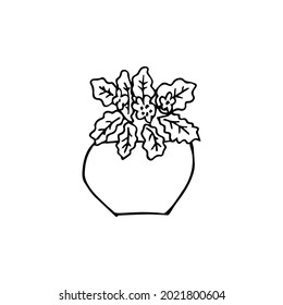 Potted plants collection, doodle design. Succulents and home plants. Hand drawn illustration. Set of house indoor plant vector in sketch style. 