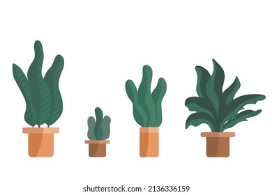 Potted plants collection. Hand drawn vector and house plants. Set of indoor plant vector cartoon doodle. Vector illustration