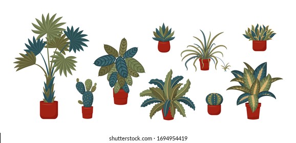 Potted plants collection. Interior plants. Urban jungle, trendy home or office decor with plants. Set of house indoor plant vector. Palm Tree, spider plant, maranta, succulents, cactus, fern, etc