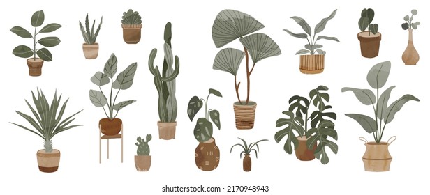 Colección de plantas en fondo blanco. Conjunto de plantas interiores con cestas, maceta de flores, monastera, hojas y follaje. Diferentes ilustraciones de decoración verde interior para decoración, arte.