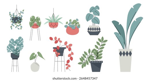 Potted plants collection on white background. Set of interior house plants with baskets, flower pot, monstera, leaves and foliage. Different home indoor green decor illustration for decoration, art.