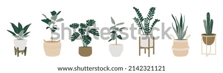 Similar – Image, Stock Photo pot plant Nature