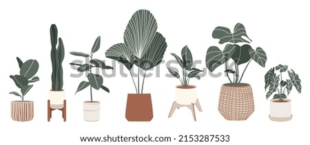 Similar – Image, Stock Photo pot plant Nature
