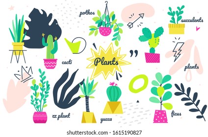 Potted plants collection - set of bright vector elements in flat style on white background. Decorative flowers and houseplants in different pots. Beautiful pothos, zz plants, yucca, succulents, ficus