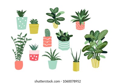 potted plants collection. succulents and house plants. hand drawn vector art. 
Set of house indoor plant vector cartoon doodle.