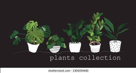 potted plants collection. succulents and house plants. hand drawn vector art. 
Set of house indoor plant vector cartoon doodle.