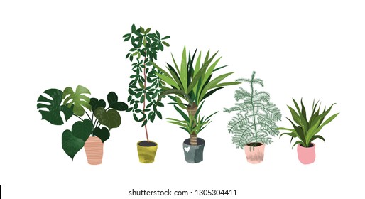 potted plants collection. succulents and house plants. hand drawn vector art. 
Set of house indoor plant vector cartoon doodle.