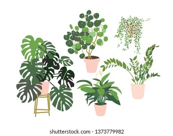 potted plants collection. succulents and house plants. hand drawn vector art. 
Set of house indoor plant vector cartoon doodle.