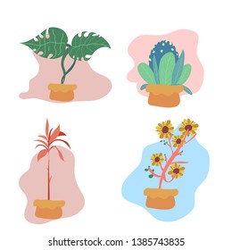 potted plants collection. succulents and house plants. hand drawn vector art. Set of house indoor plant vector cartoon doodle.