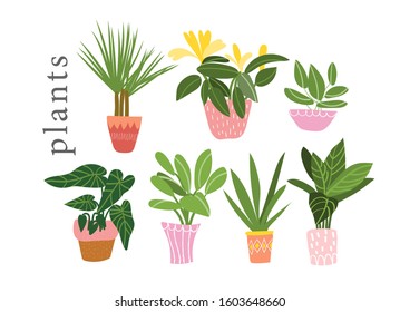 Potted Plants Collection. Succulents And House Plants. Hand Drawn Vector Art. 
Set Of House Indoor Plant Vector Cartoon Doodle.