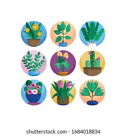 Potted plants collection. succulents and house plants. hand drawn vector art. Set house indoor plant vector.