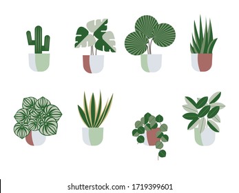  colección de plantas machacadas. suculentos y plantas. arte vectorial dibujado a mano. Conjunto de caricaturas de vectores de plantas interiores.