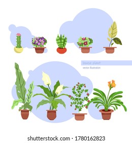 Potted plants collection. Succulents and house plants. Set of house indoor plant vector cartoon doodle.
