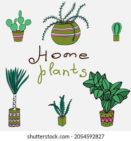 potted plants collection. succulents and house plants. hand drawn vector art. Set of house indoor plant vector cartoon doodle.