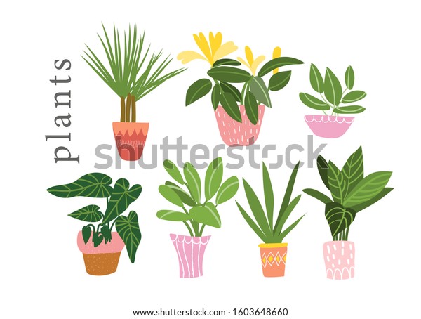Featured image of post Houseplant Vector Art This section introduces 7015 vector s of houseplant