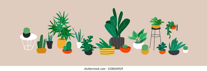 Potted plants collection. Urban jungle, trendy home decor with plants, cactus, tropical leaves. Set of house indoor plant vector hand drawn cartoon illustration